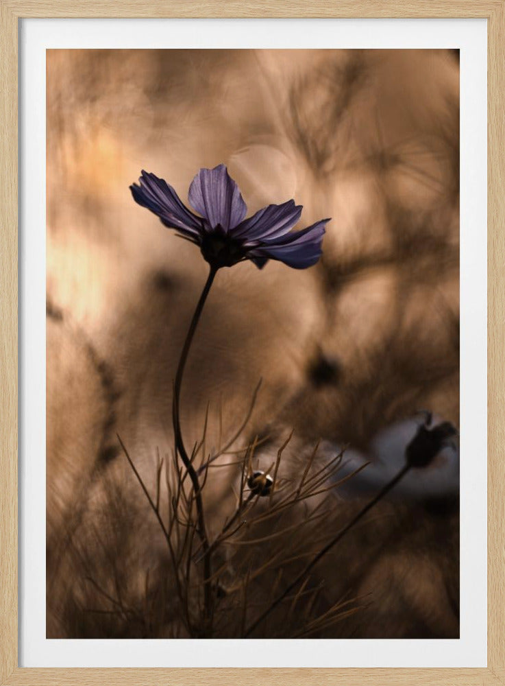 The Dancing Queen | Poster