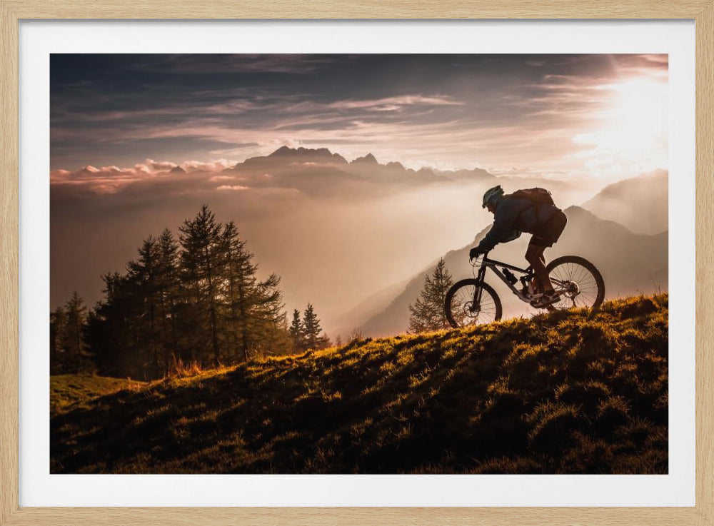 Golden hour biking | Poster