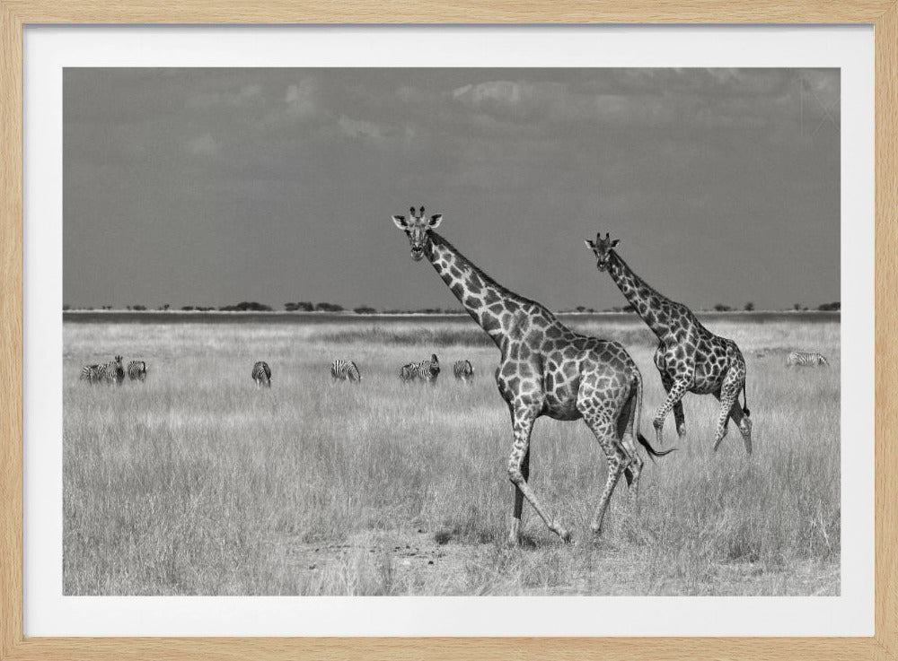 Tourists Spend | Poster