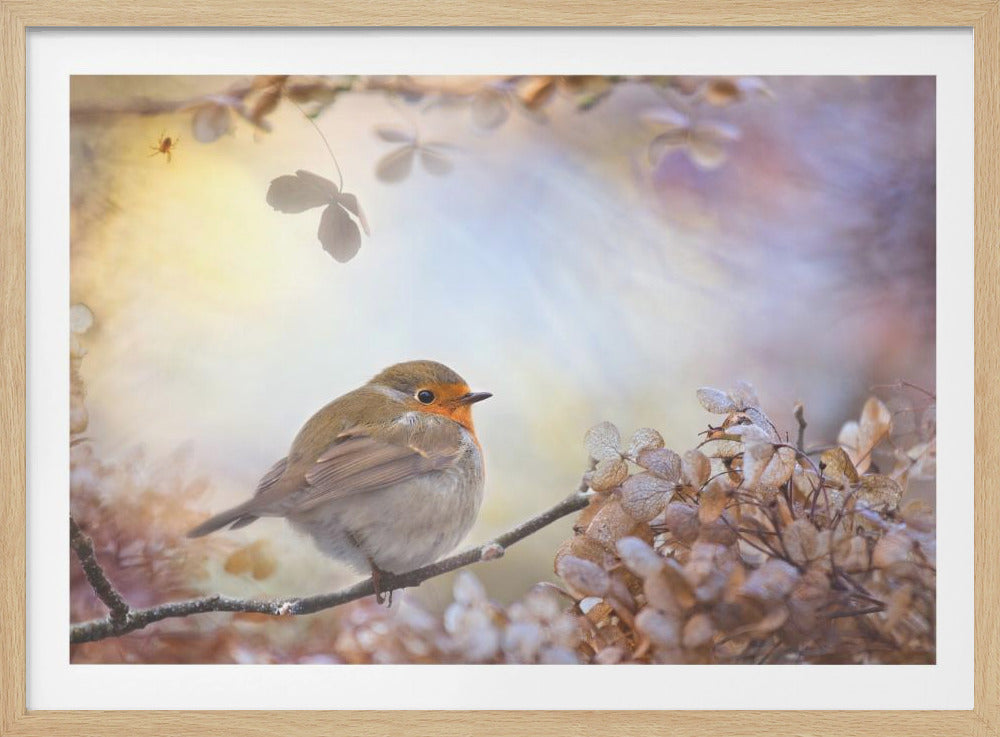 Robin on dreams | Poster