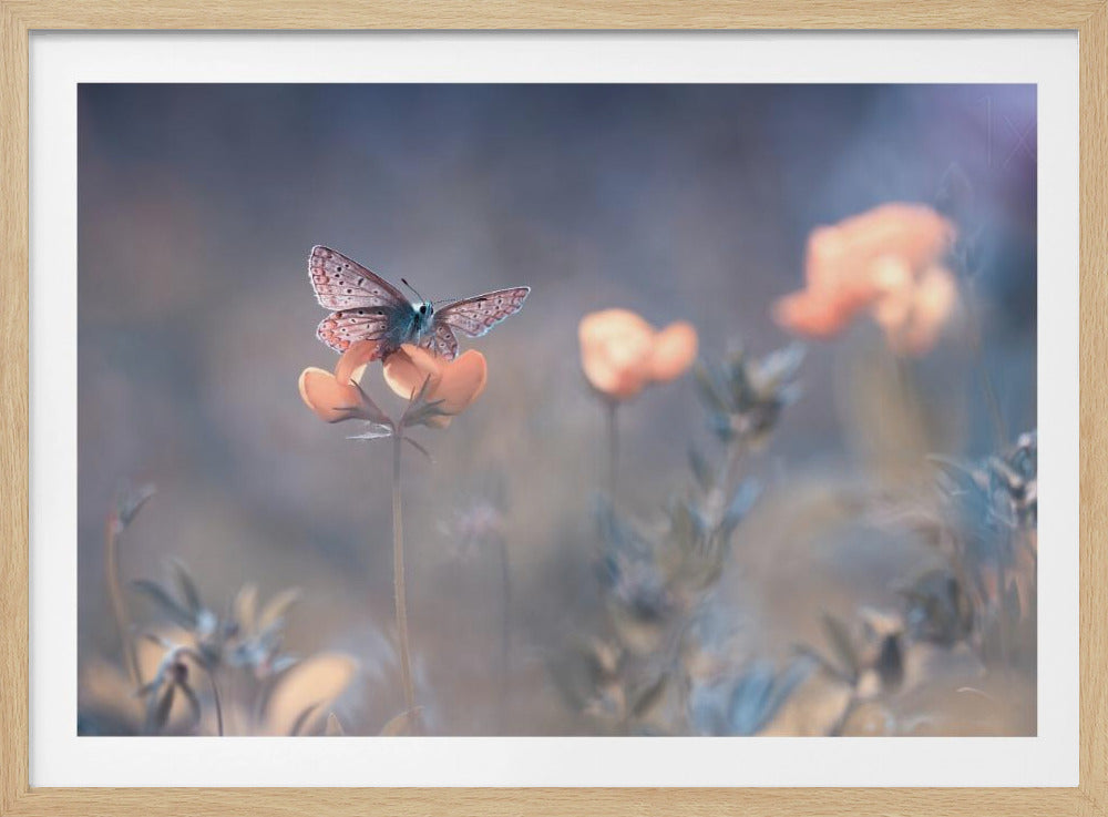 The Lady of Lothlorien | Poster