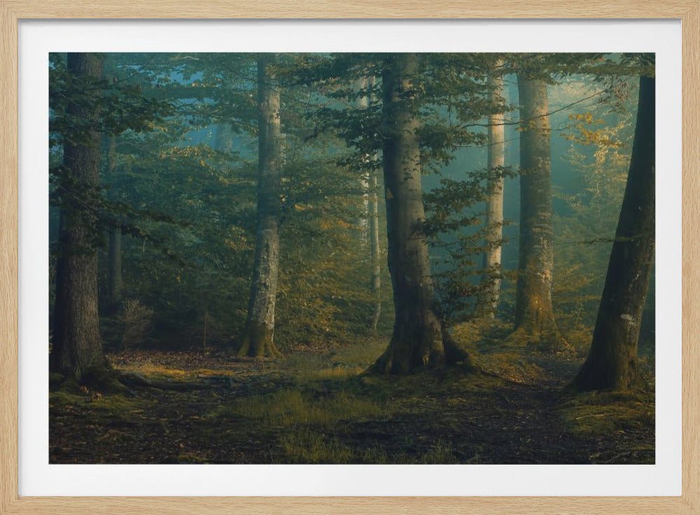 october colors | Poster