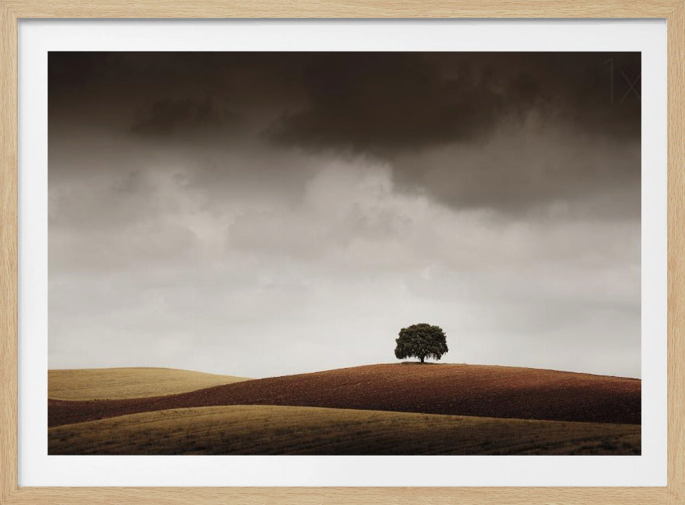 Tuve Que Pararme al Verla | Poster