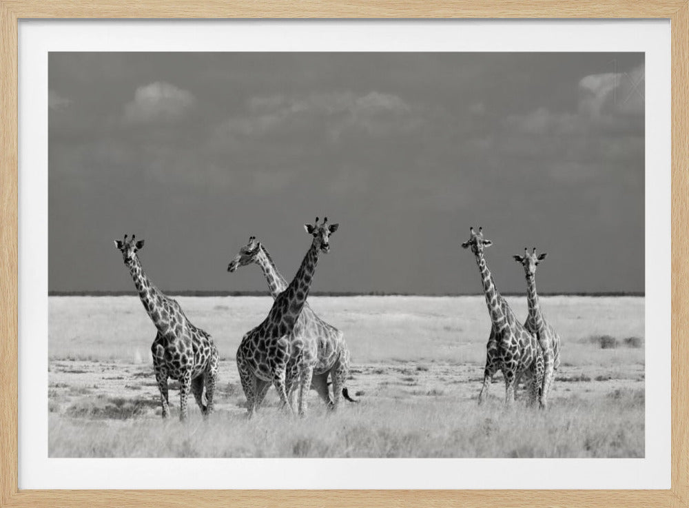 Look Girl Strange Animals | Poster