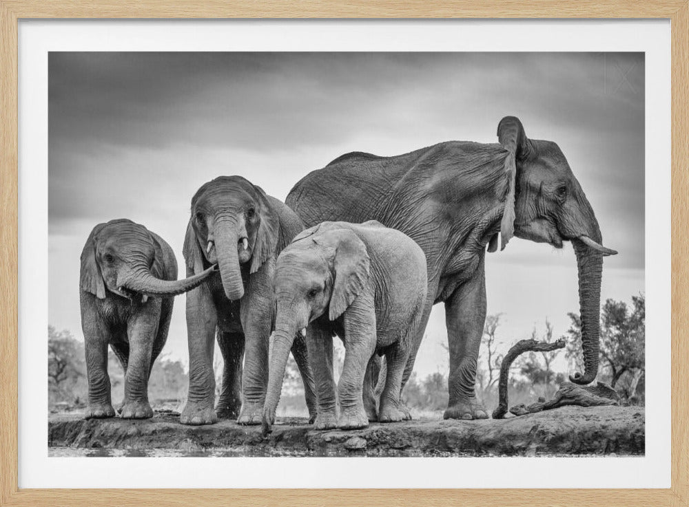 A Giant Unity | Poster