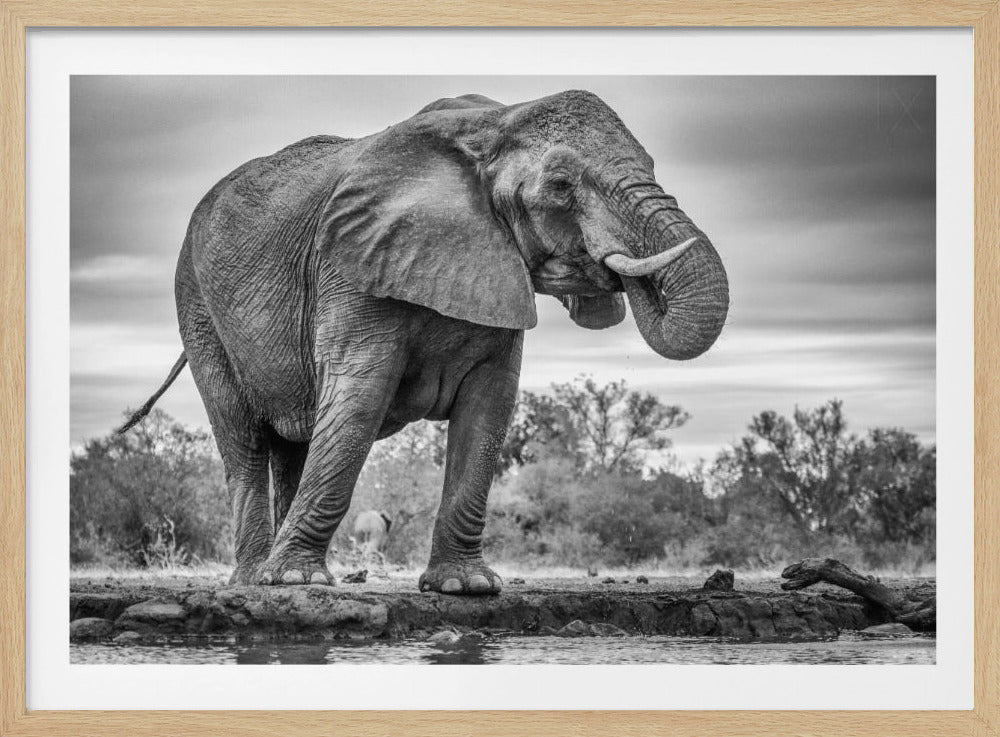 Standing Proud | Poster