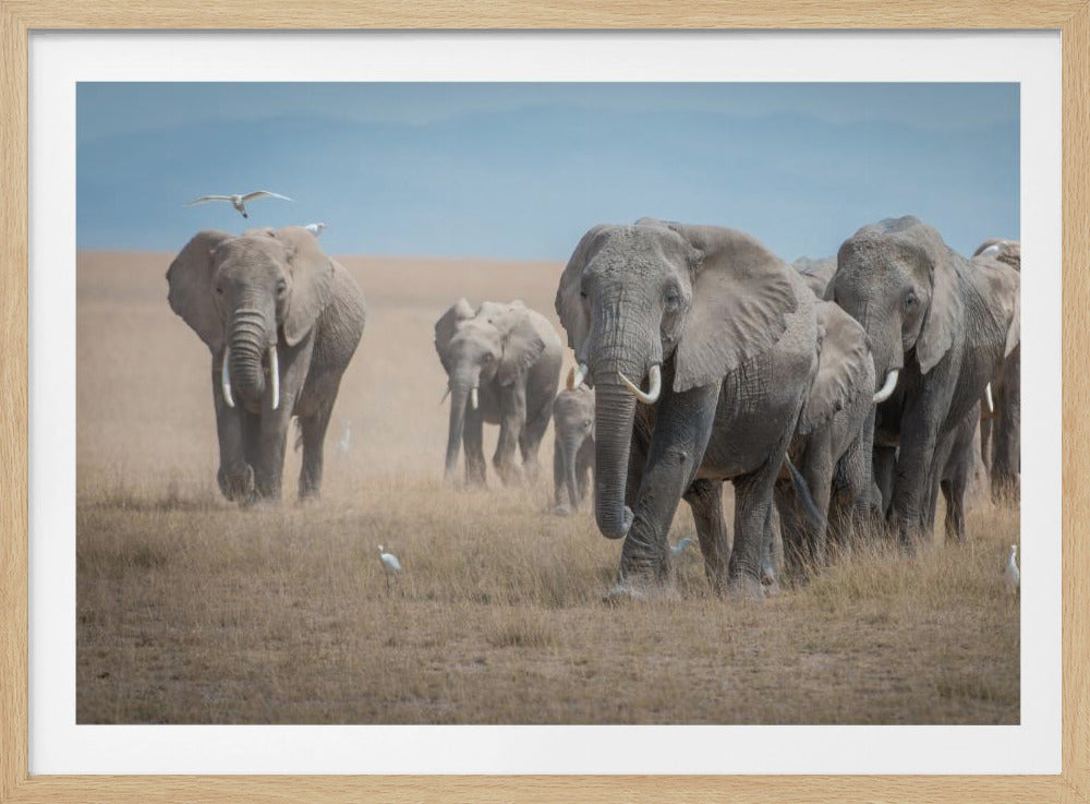 Remember the Titans | Poster