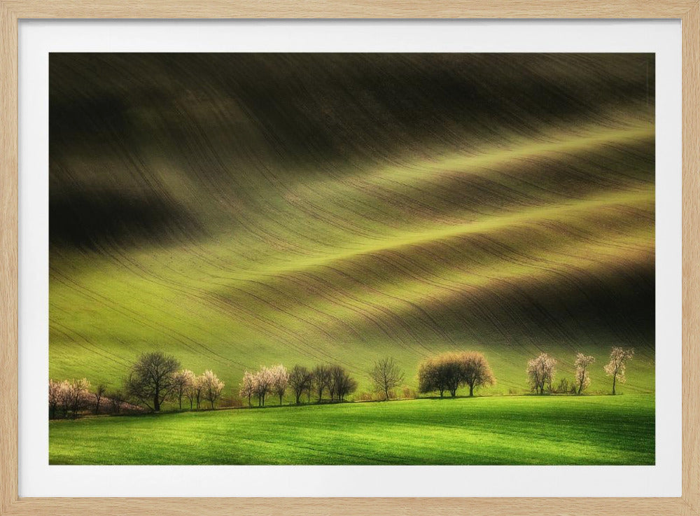 Moravian Fields | Poster