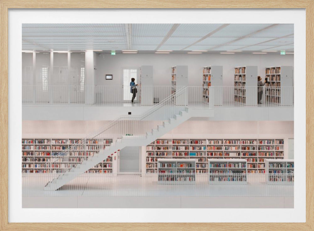 in the library, 2014 | Poster