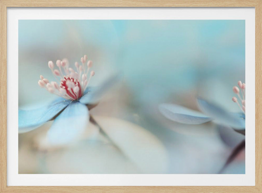 The two of us | Poster