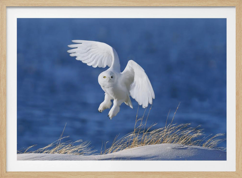 White Spirit demon | Poster