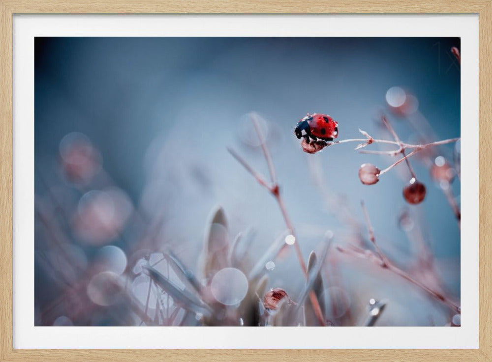 High Diving | Poster