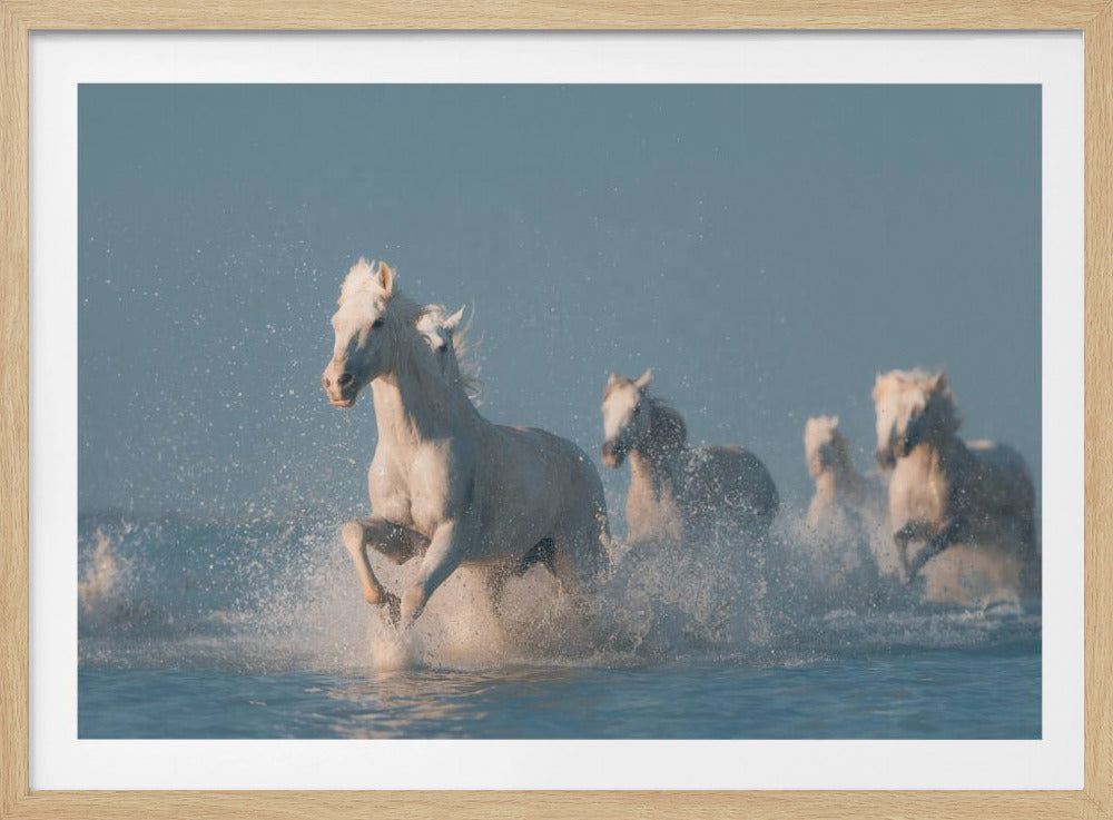 Angels of Camargue | Poster