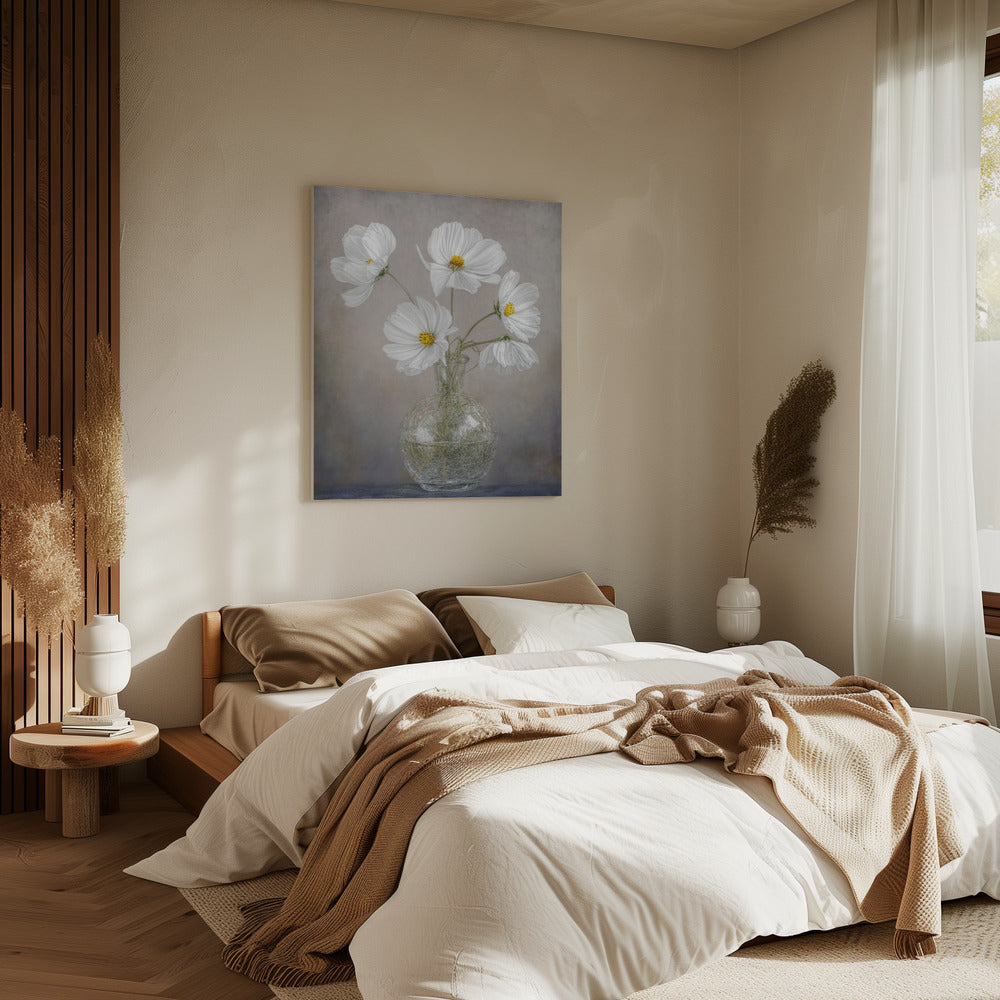 Simply Cosmos | Canvas