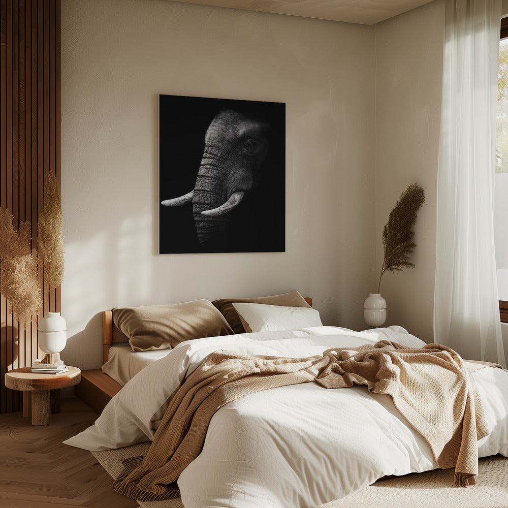 Portrait | Canvas