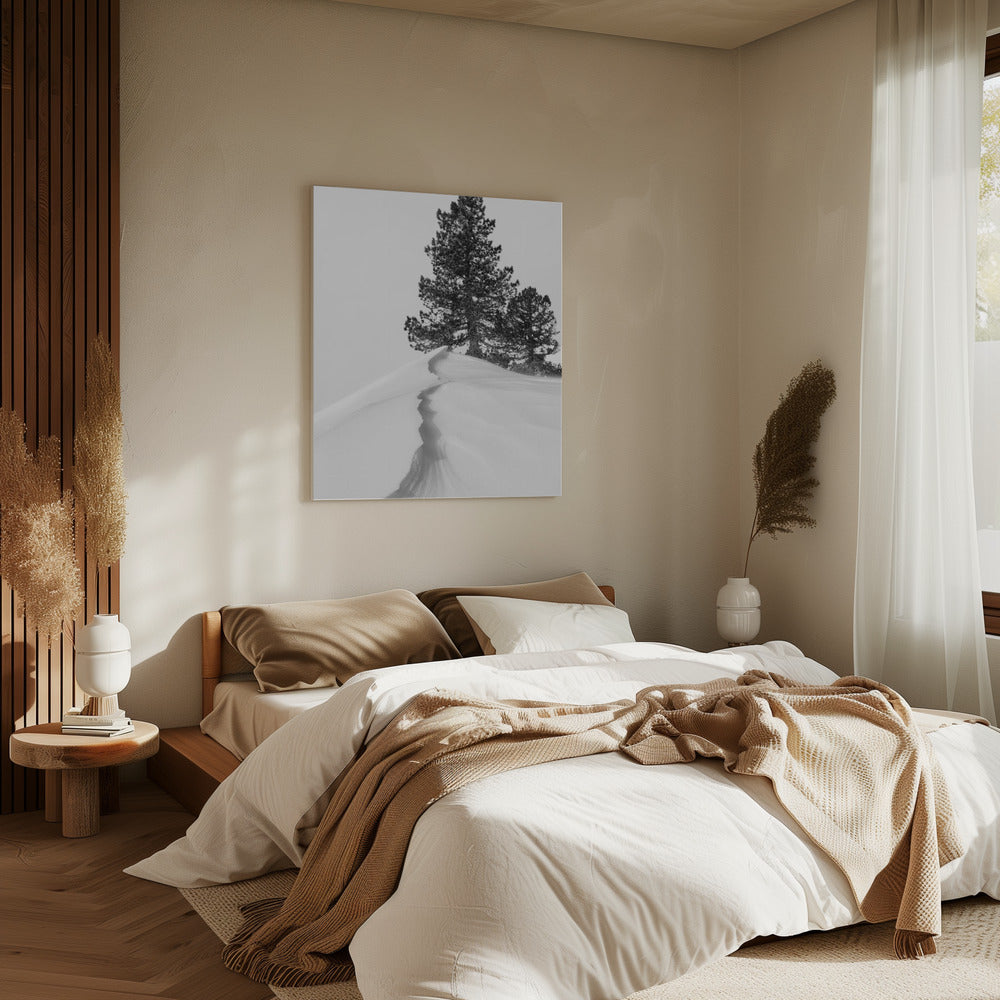 About the snow and forms | Canvas