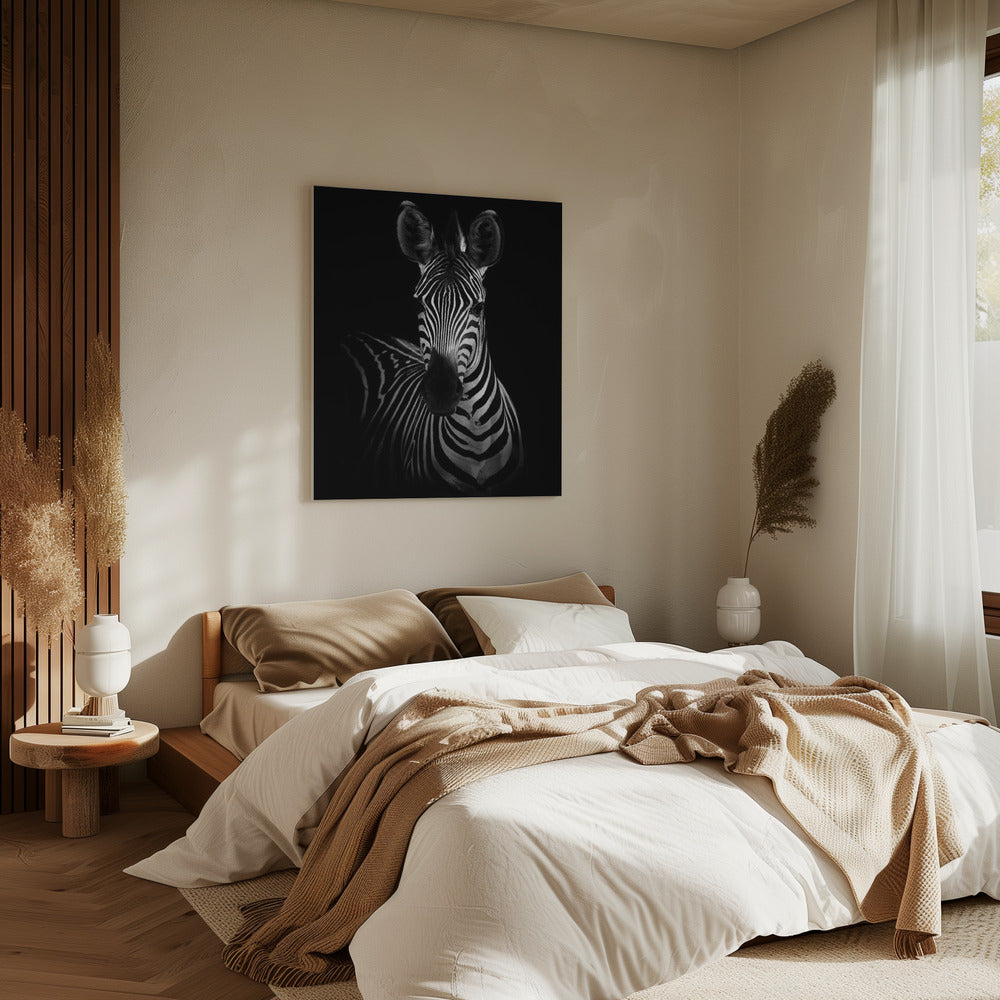 The Zebra | Canvas