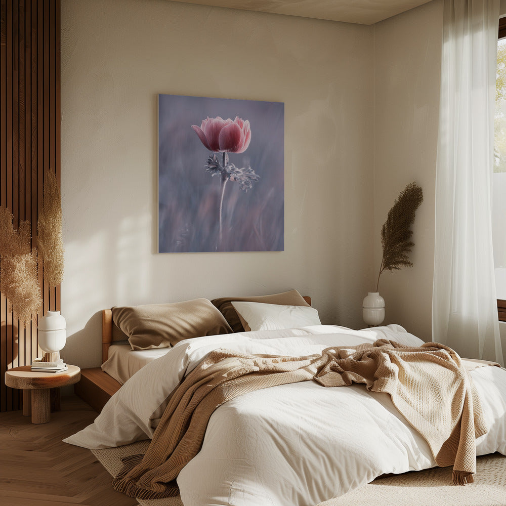 Pink ! So What ? | Canvas