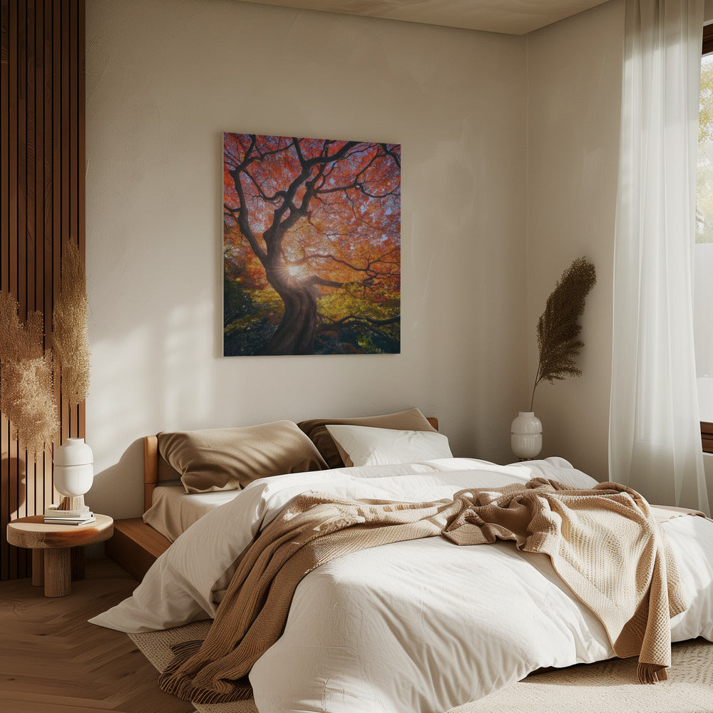 The Japanese Tree | Canvas