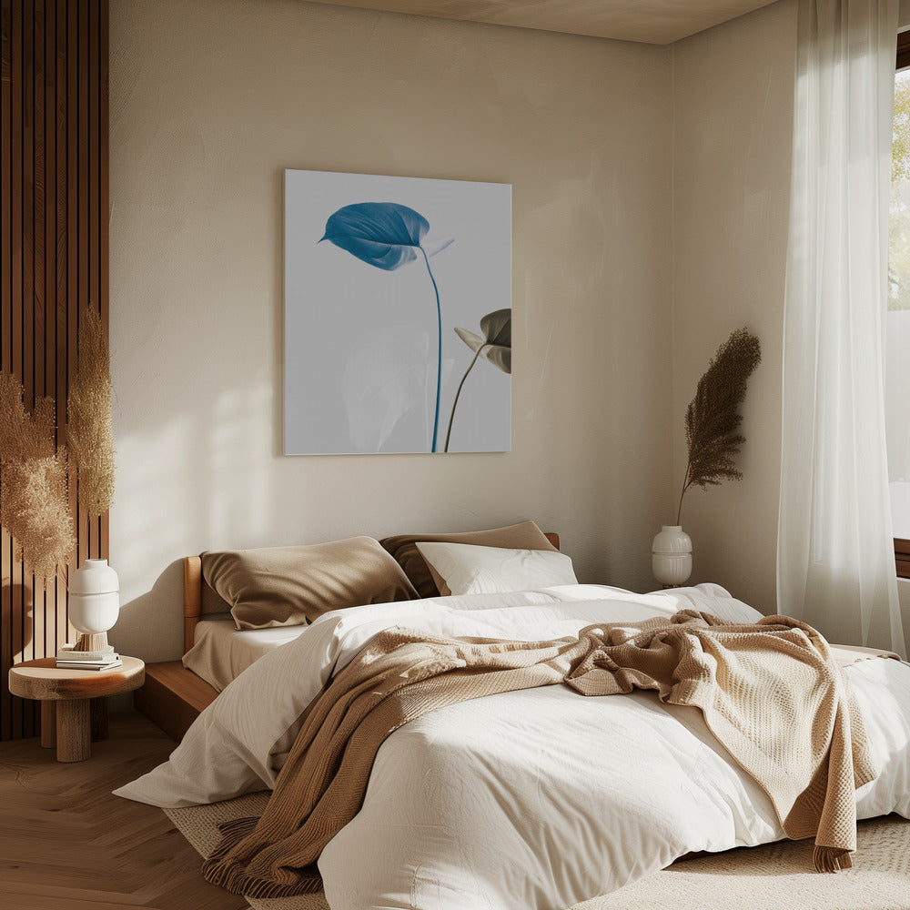 Monstera Creative 19 | Canvas