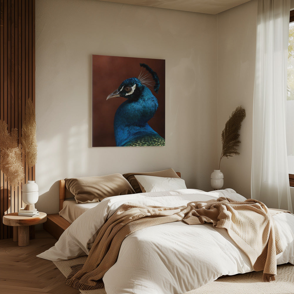 Seduction mode | Canvas