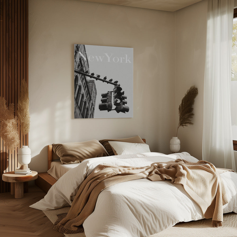 NYC Doves | Canvas
