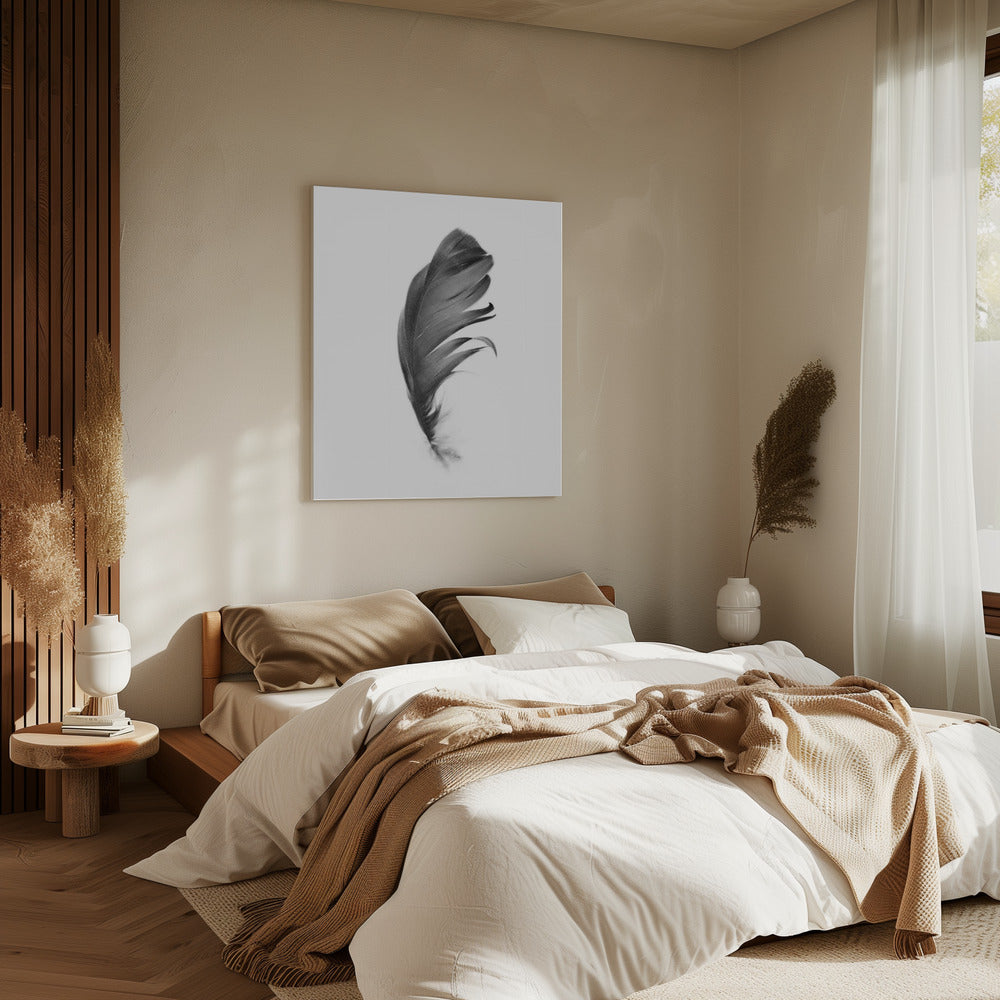 Feather | Canvas