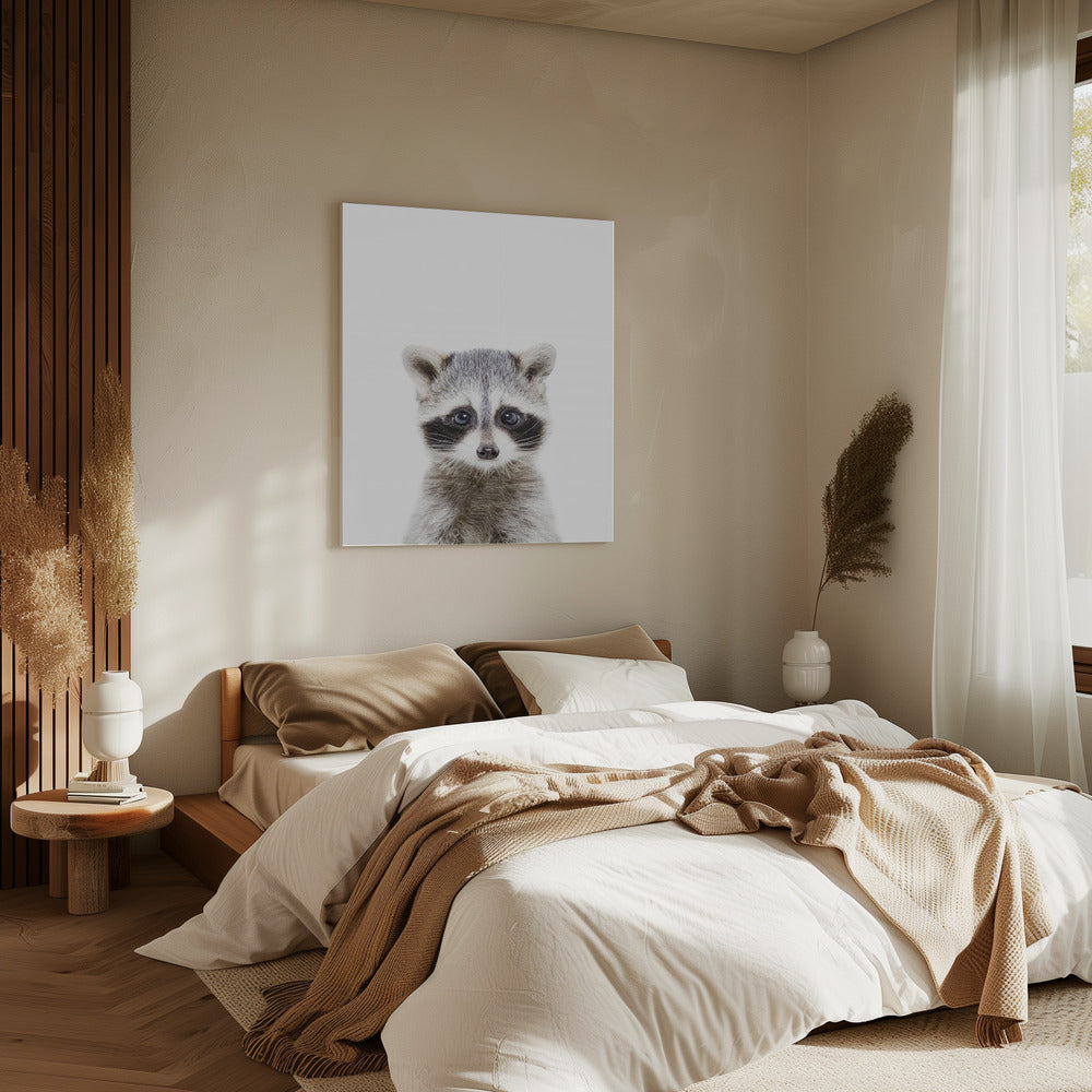 Baby Racoon | Canvas