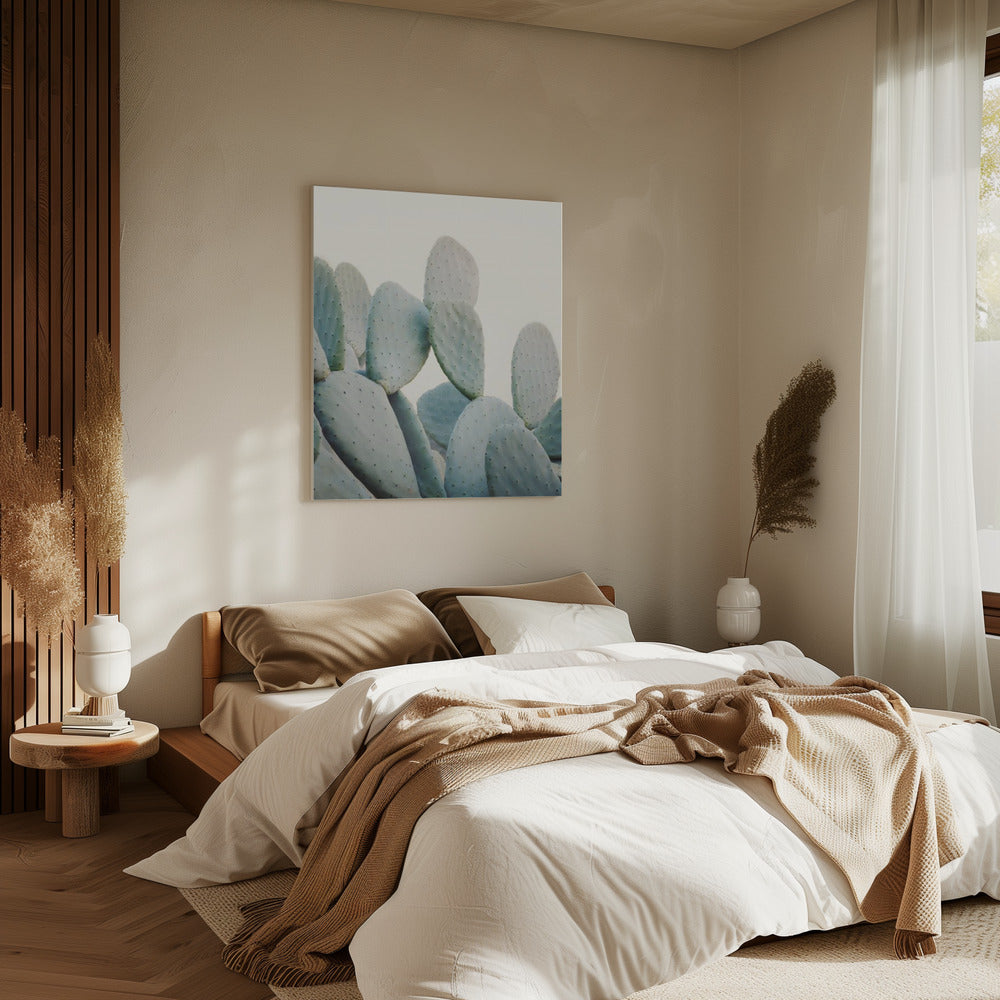 Pastel Cacti | Canvas