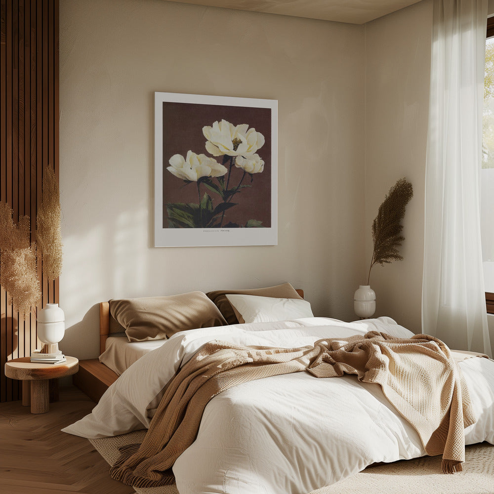 Hærdaceous Peony | Canvas