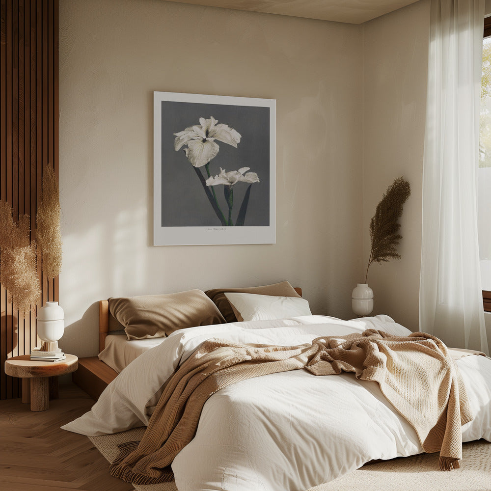 Iris Kæmpferi | Canvas