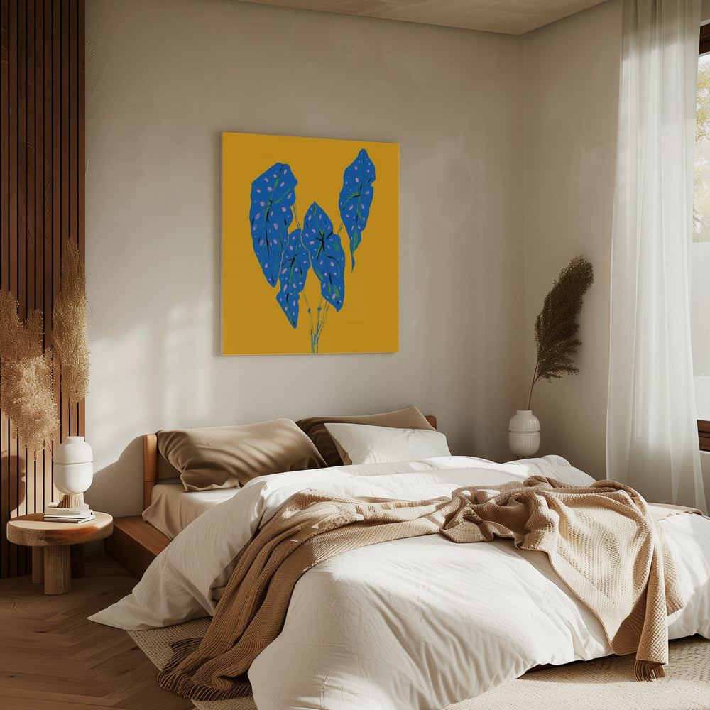 Begonia Maculata Blue and Yellow | Canvas