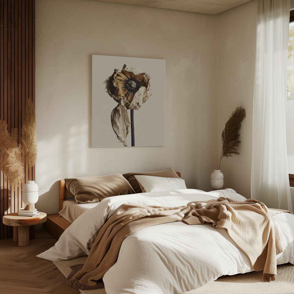 Fading Elegance | Canvas