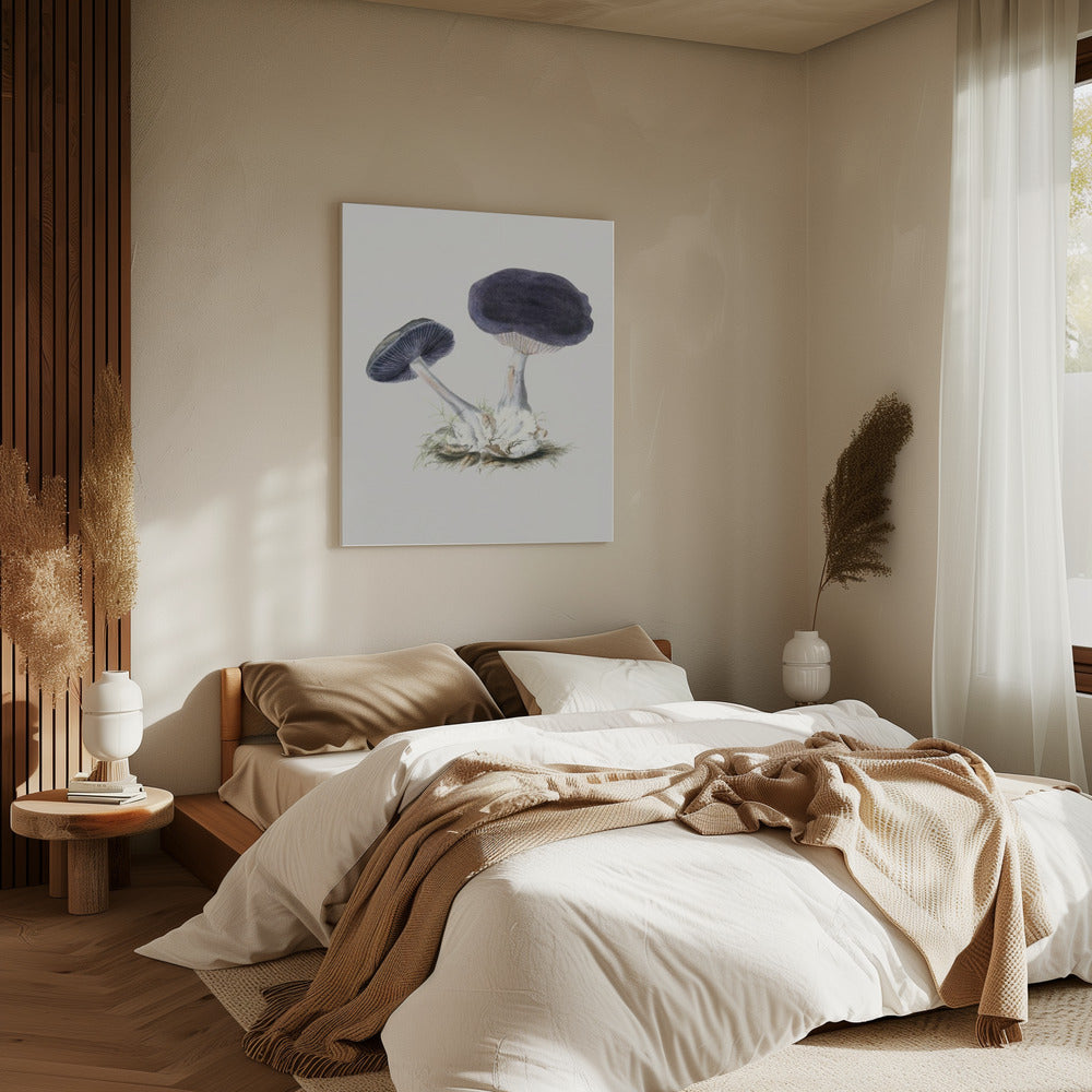 Vintage Violet Webcap Mushroom | Canvas