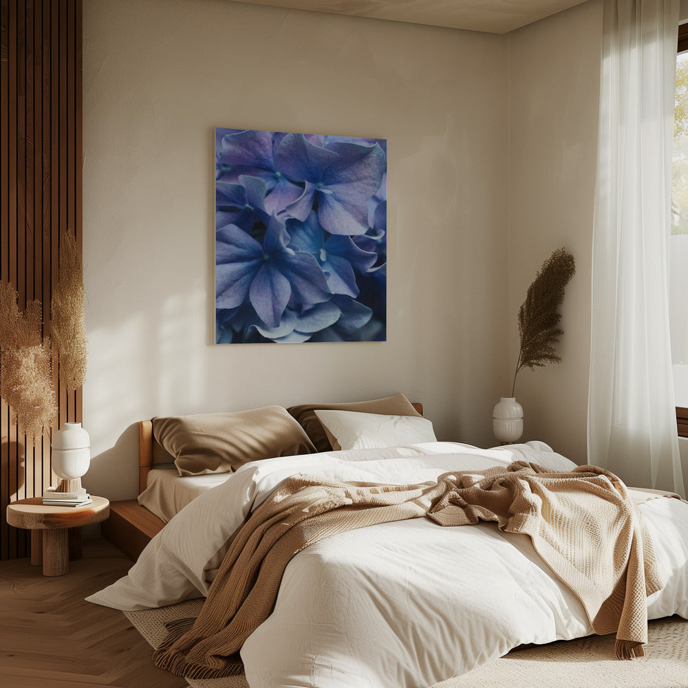 Vibrant Purple Hydrangea Flowers | Canvas