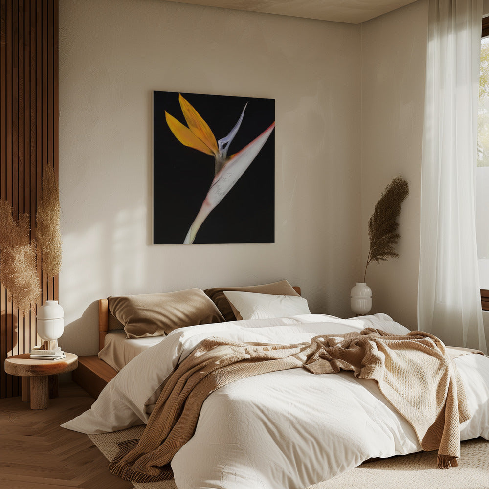 Bird of Paradise | Canvas