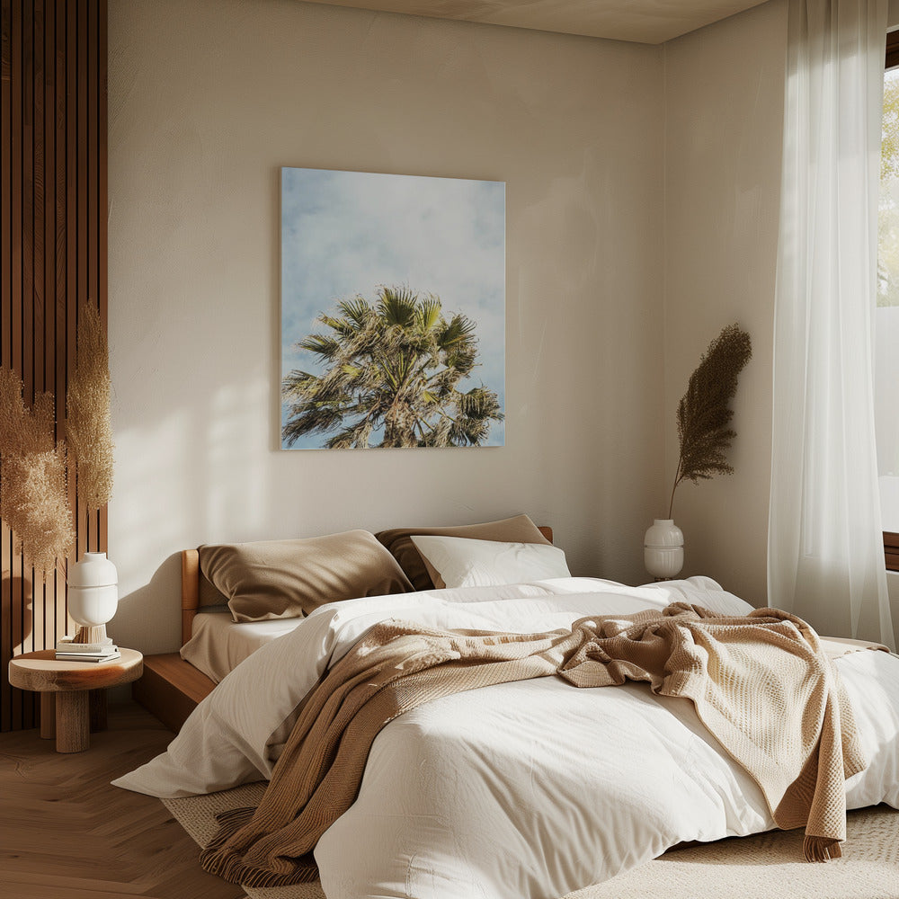 Sunlit Fronds | Canvas