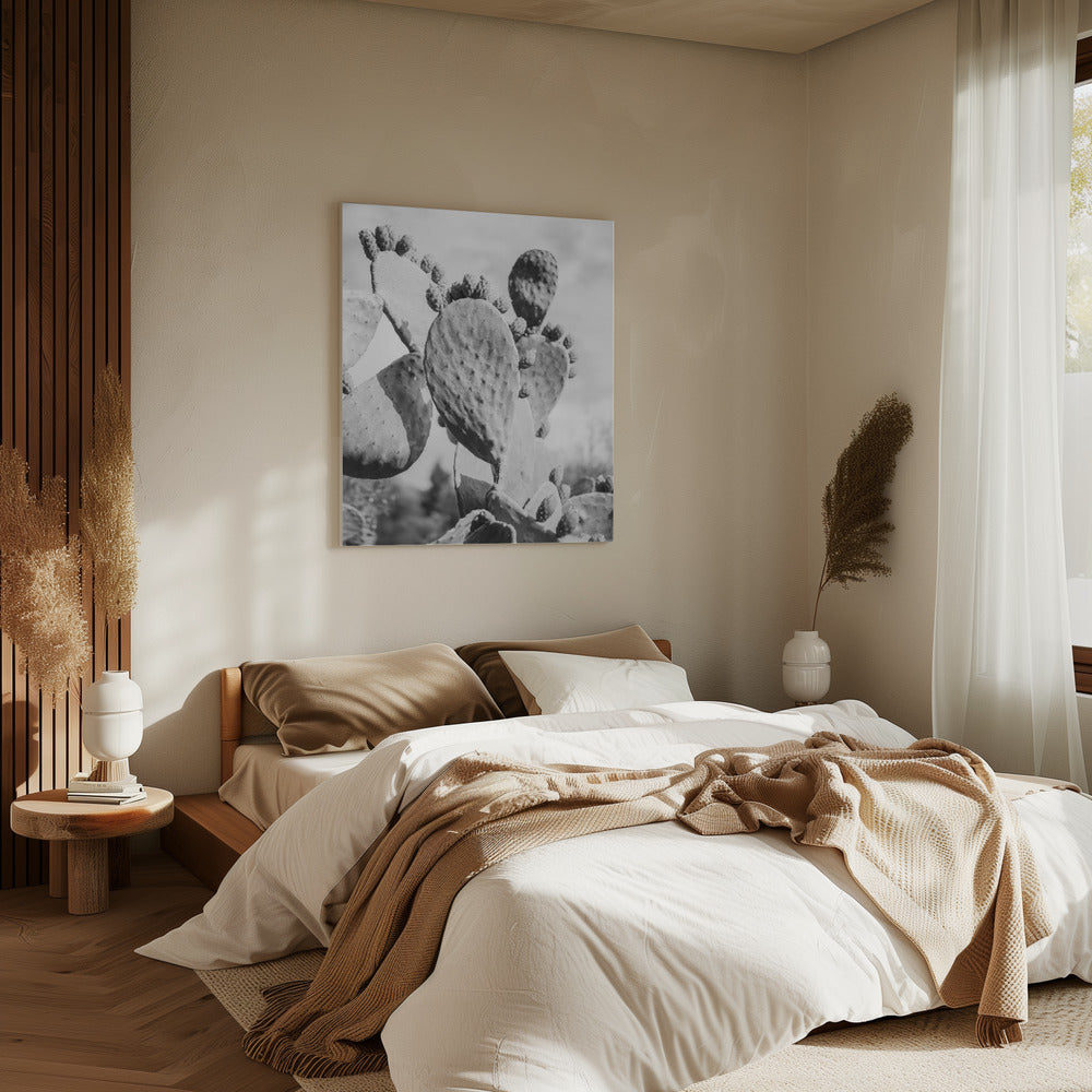 Desert Serenity | Canvas