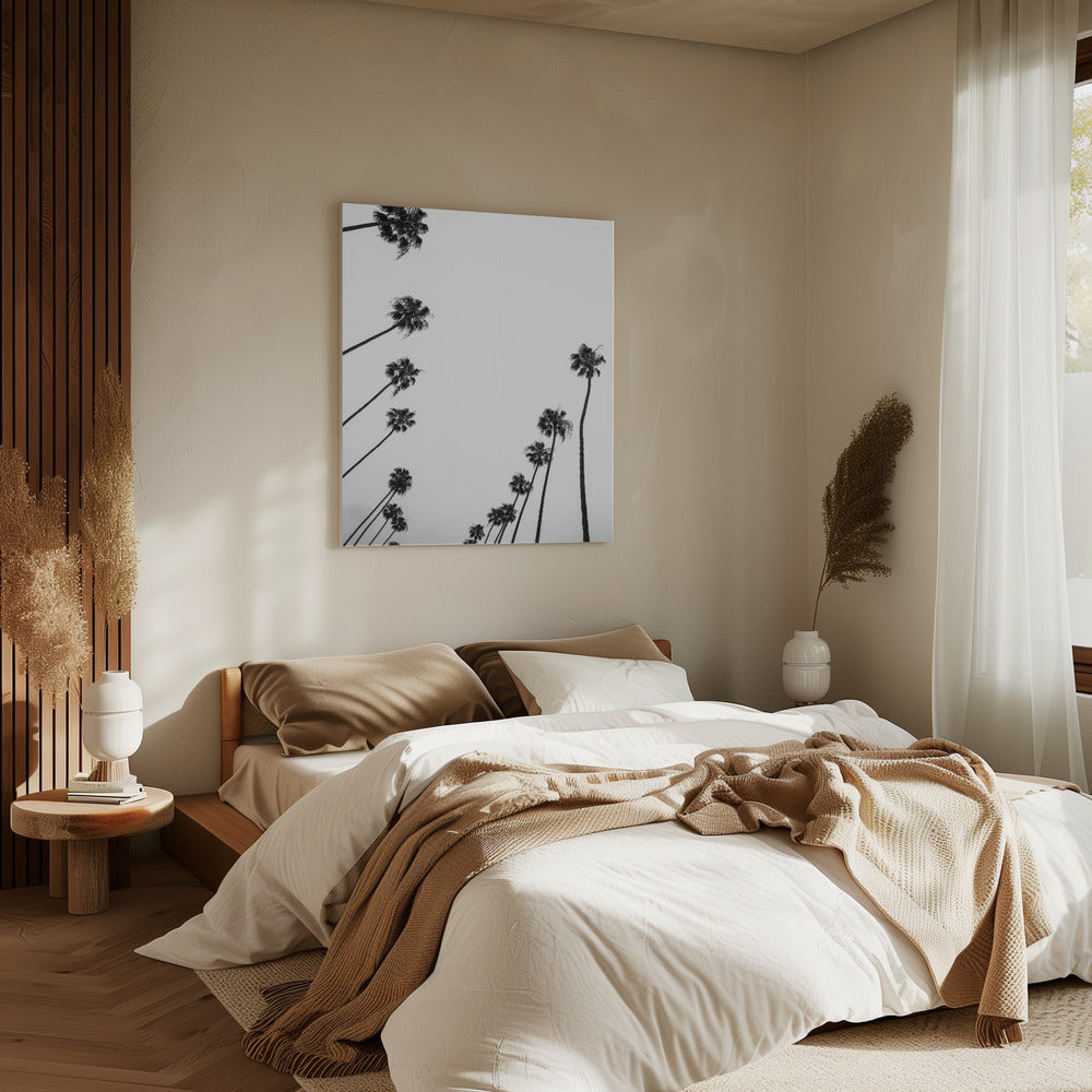 Whispers in the Sky | Canvas