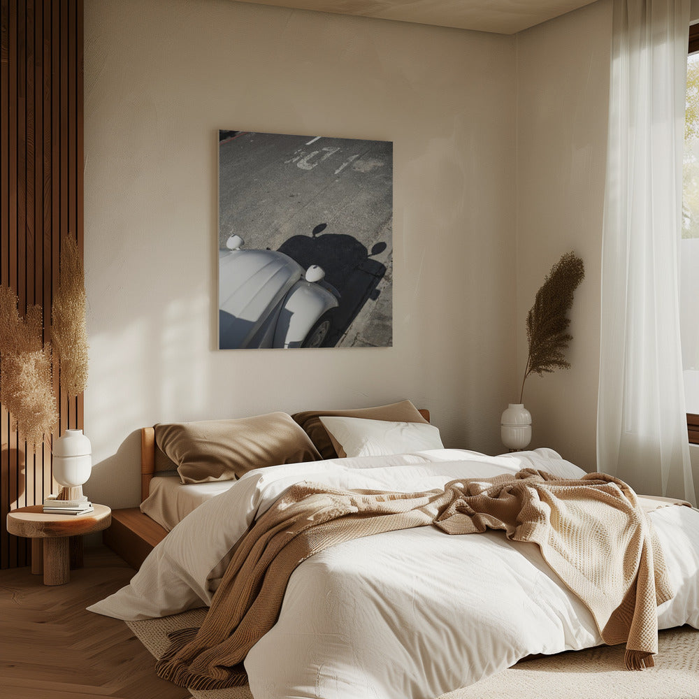 Classic Curve Shadows | Canvas