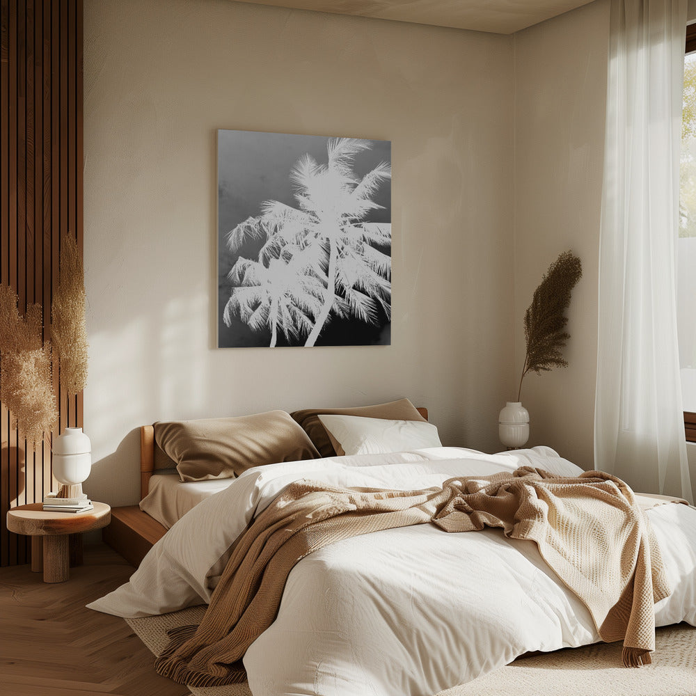 Inverted Palms | Canvas