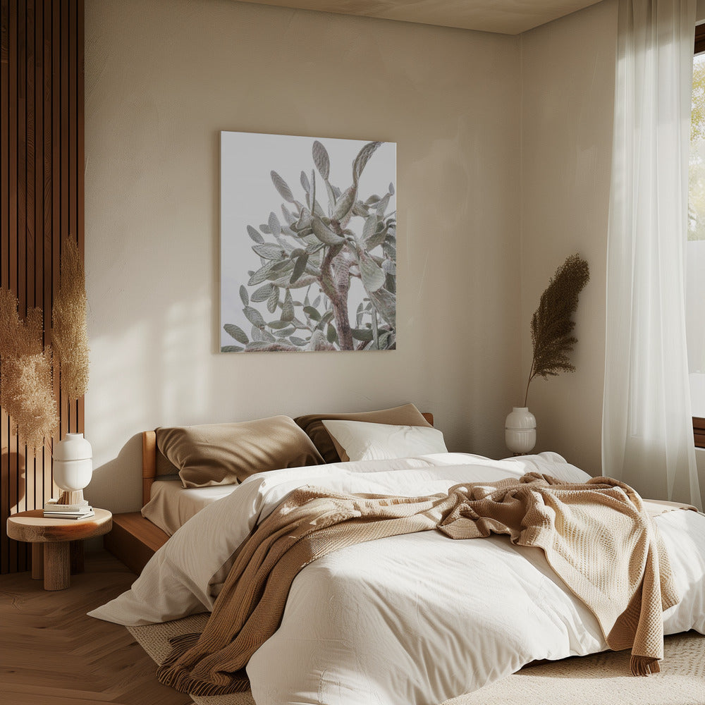 Cactus Whispers | Canvas