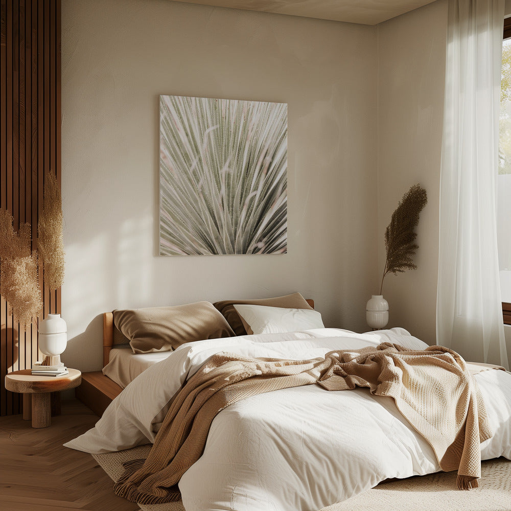 Spiky Serenity | Canvas