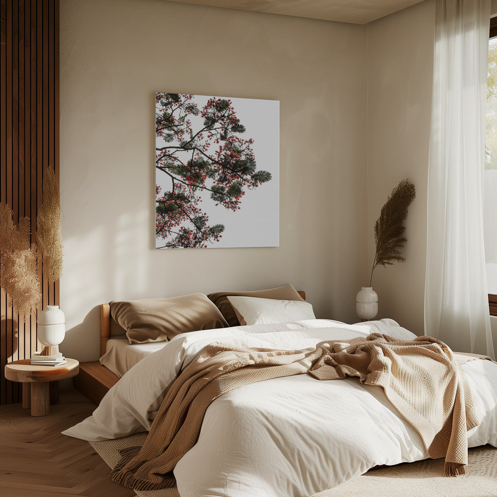 Blossom Canopy | Canvas