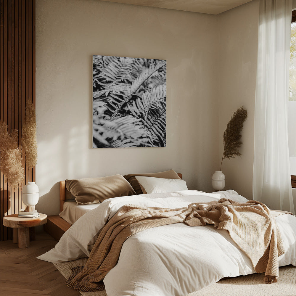 Whispering Ferns | Canvas