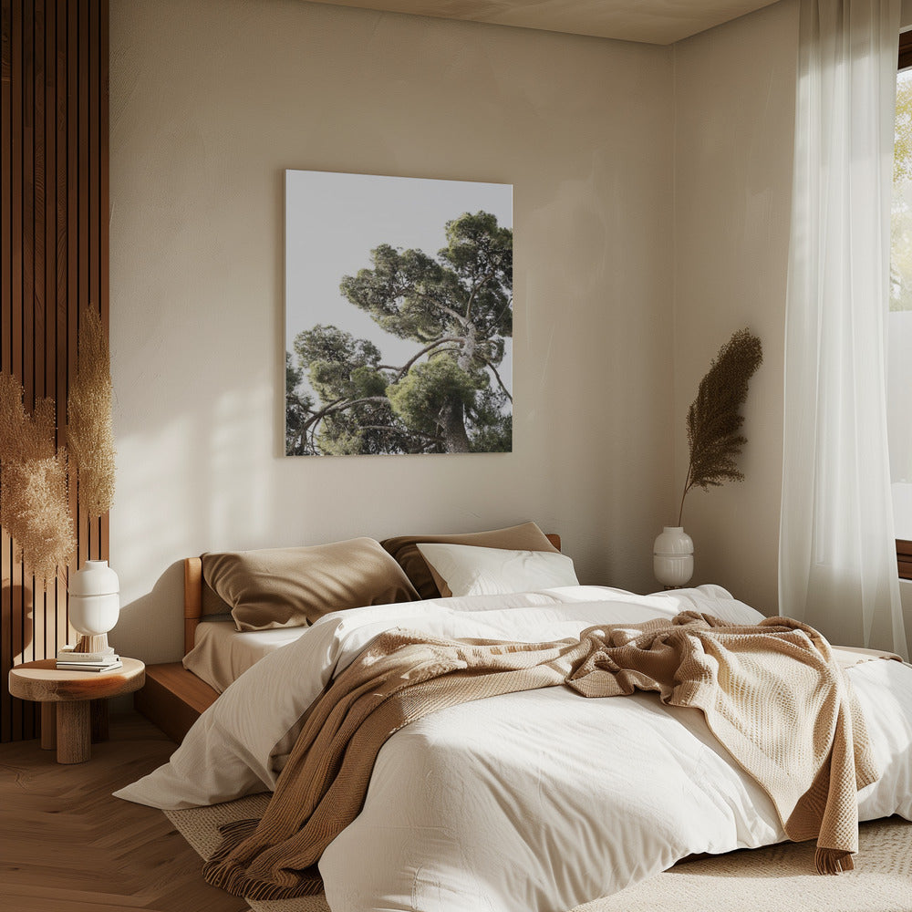 Towering Pines | Canvas