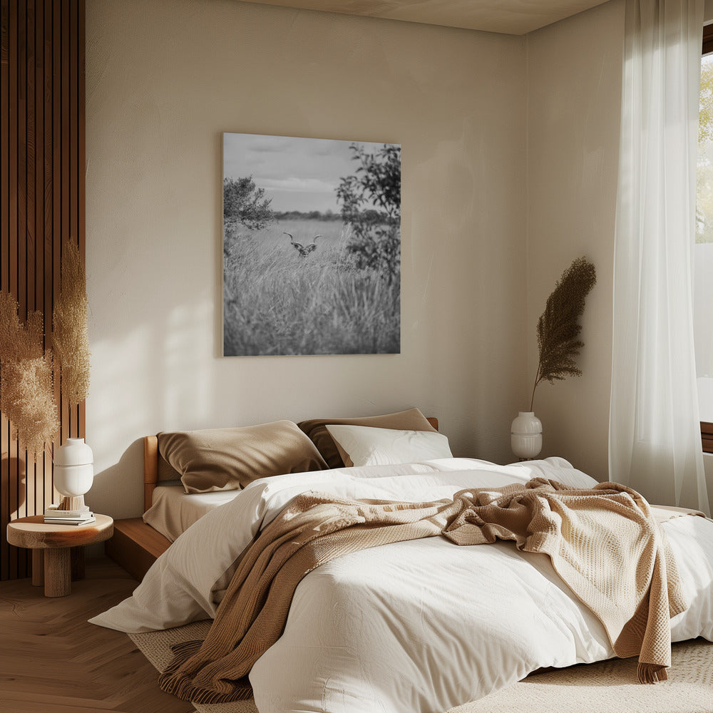 Hidden in the Grass | Canvas