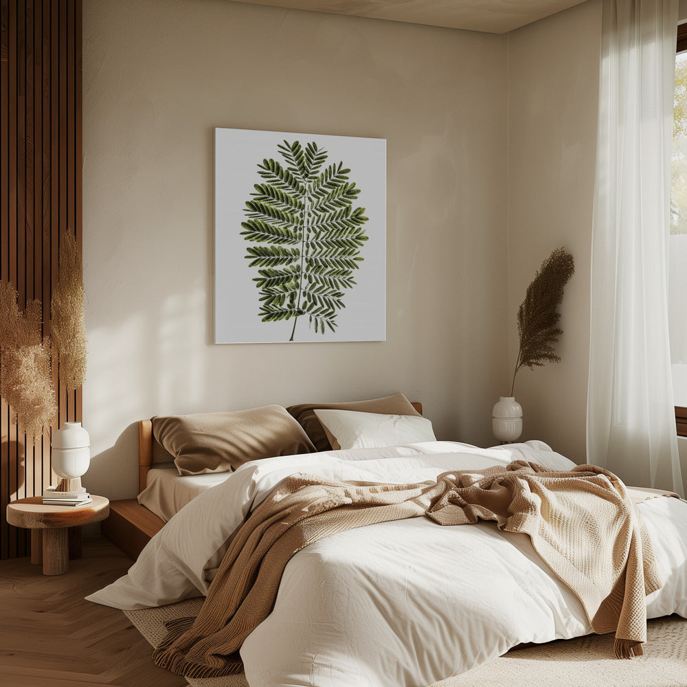 Fern's Symphony | Canvas