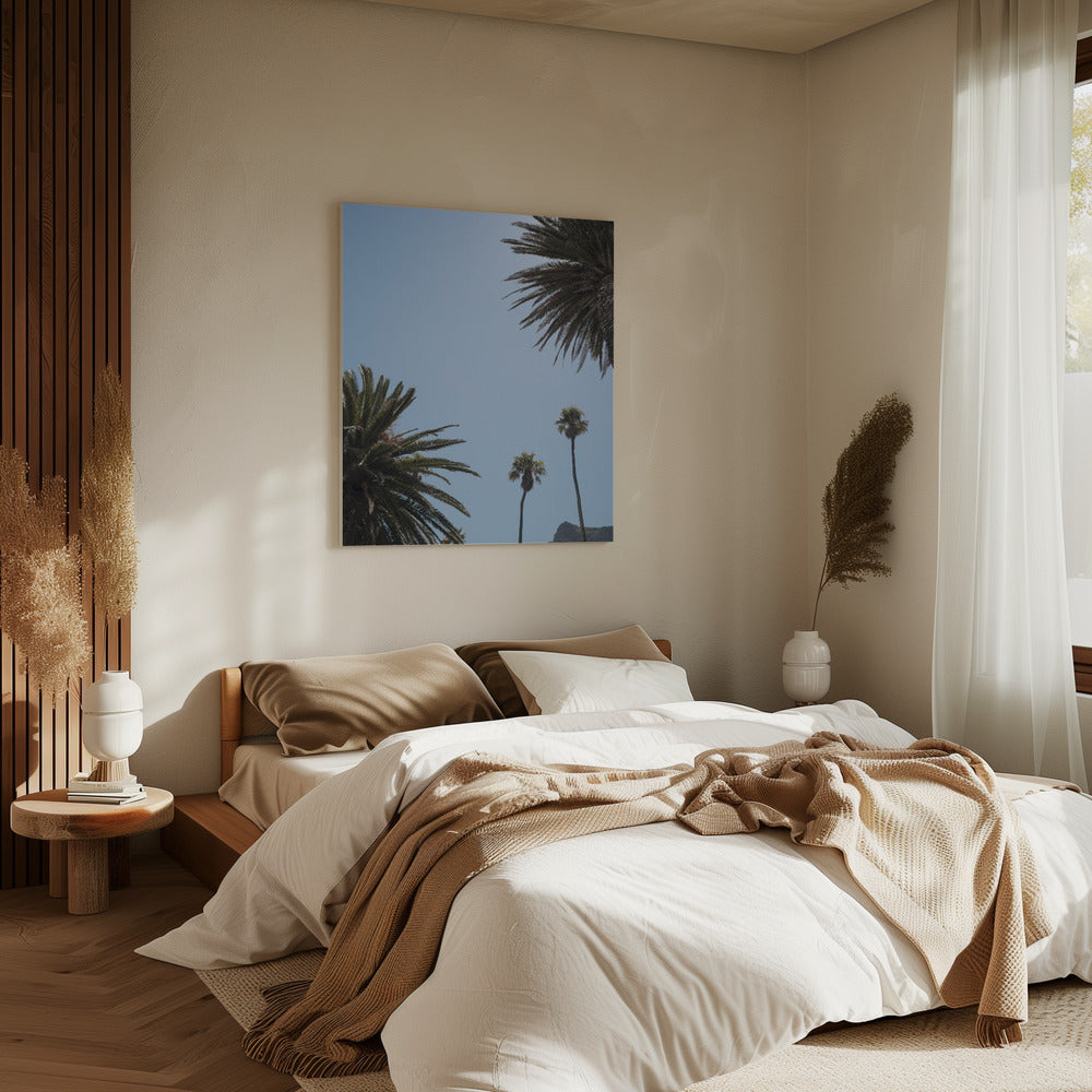 Sunny Palm Heights | Canvas