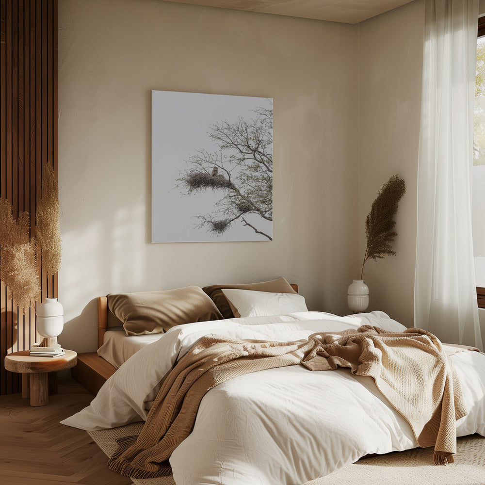 Owl's Perch | Canvas